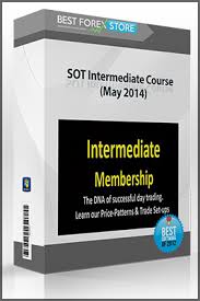 SOT Intermediate Course (May 2014)