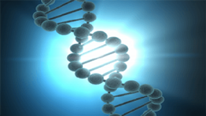 Experimental Genome Science – University of Pennsylvania