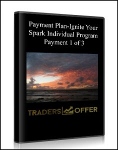 Payment Plan-Ignite Your Spark Individual Program-Payment 1 of 3