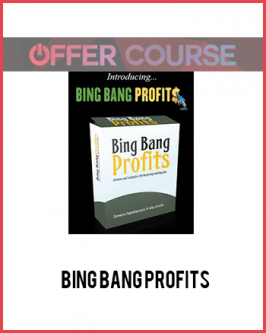 Bing Bang Profits