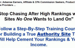 Lisa Parmley – Authority Site Model