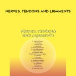 Sound Healing Center – Nerves, Tendons and Ligaments