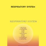 Sound Healing Center – Respiratory System