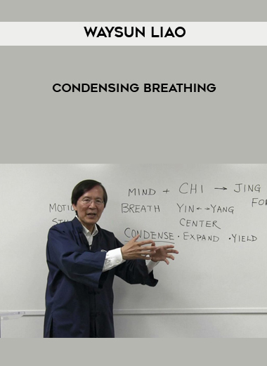 Waysun Liao – Condensing Breathing