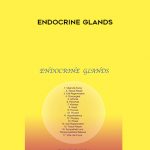 Sound Healing Center – Endocrine Glands