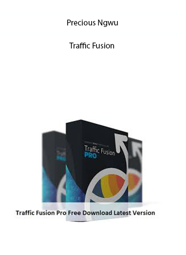 Precious Ngwu – Traffic Fusion