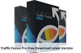 Precious Ngwu – Traffic Fusion