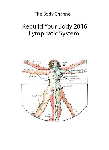 The Body Channel - Rebuild Your Body 2016 - Lymphatic System