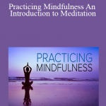 Practicing Mindfulness An Introduction to Meditation