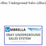 Roger and Barry - eBay Underground Sales (eBus)
