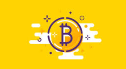 Bitcoin & Litecoin Course (2 Course Bundle)