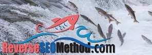  HARLAN KILSTEIN - REVERSE SEO METHOD + OTO 