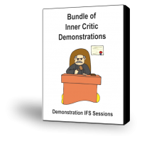 Jay Earley & Bonnie Weiss - All Demo Bundle of Demonstration IFS Sessions