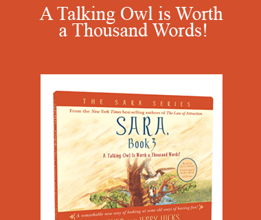 Abraham Hicks - A Talking Owl is Worth a Thousand Words!