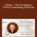Pema Chödrön - Udemy - The Freedom to Choose Something Different