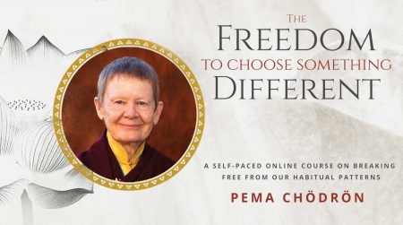 Pema Chödrön - Udemy - The Freedom to Choose Something Different
