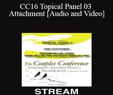 CC16 Topical Panel 03 - Attachment - Rick Miller