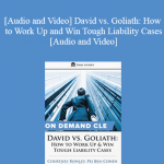 Trial Guides - David vs. Goliath: How to Work Up and Win Tough Liability Cases