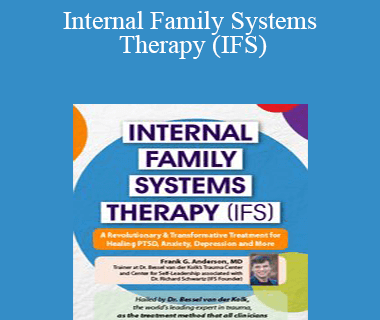 Frank Anderson - Internal Family Systems Therapy (IFS)