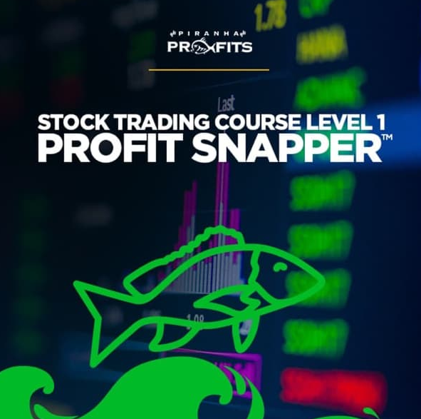 Adam Khoo - Stock Trading Course Level 1 Profit Snapper