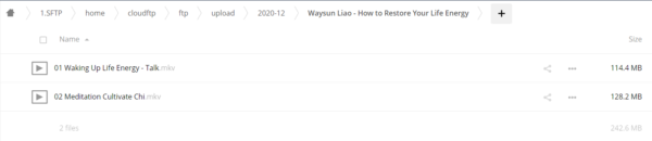 Waysun Liao - How to Restore Your Life Energy
