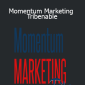 Mohamed Ali Aguel - Momentum Marketing Tribe
