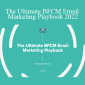 Chase Dimond - The Ultimate BFCM Email Marketing Playbook 2022