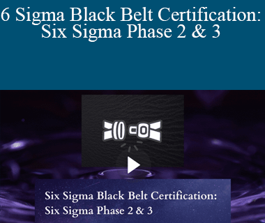 Stone River Elearning - Six Sigma Black Belt Certification: Six Sigma Phase 2 & 3