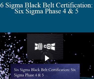 Stone River Elearning - Six Sigma Black Belt Certification: Six Sigma Phase 4 & 5
