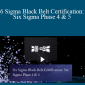 Stone River Elearning - Six Sigma Black Belt Certification: Six Sigma Phase 4 & 5