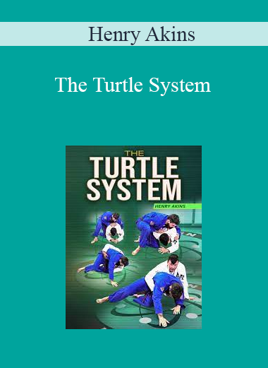 Henry Akins - The Turtle System