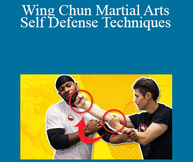 David Wong - Wing Chun Martial Arts Self Defense Techniques