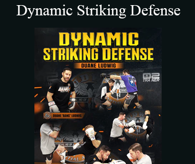 Duane Ludwig - Dynamic Striking Defense