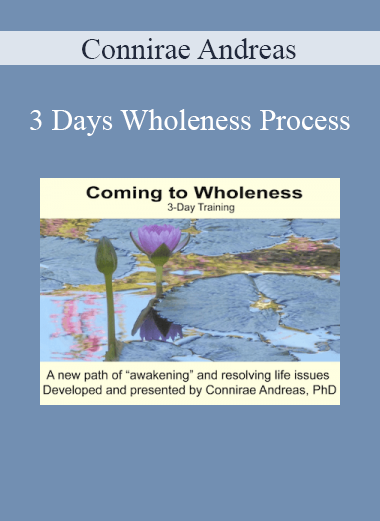 Connirae Andreas - 3 Days Wholeness Process