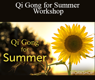 Lee Holden - Qi Gong for Summer Workshop