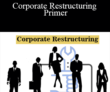 Matan Feldman - Corporate Restructuring Primer