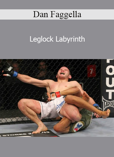 Dan Faggella - Leglock Labyrinth