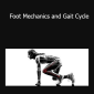 Annette Verpillot - Foot Mechanics and Gait Cycle