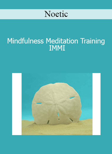 Noetic - Mindfulness Meditation Training IMMI