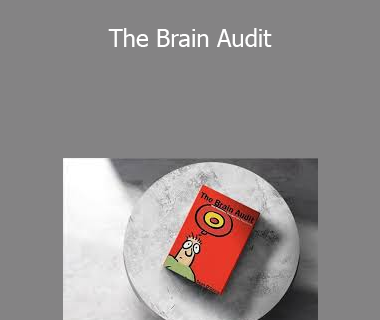 Sean D’Souza - The Brain Audit